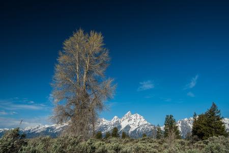 ж! 2020սͼ:48ɽ ¹ű